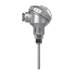 Погружной ввинчиваемый датчик температуры RGP TS-D11-ModBus